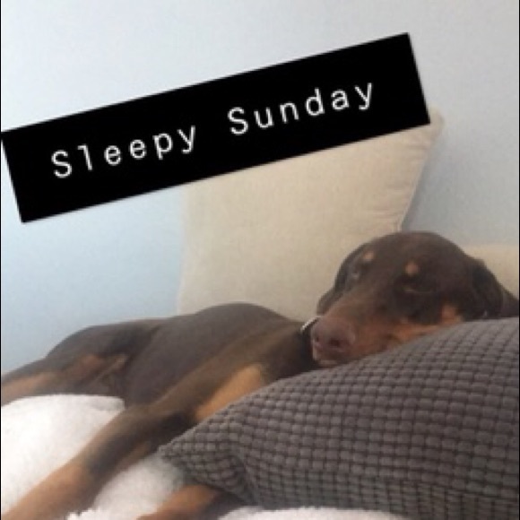 Meet your Posher, Michelle - Picture 3 of 4